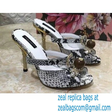 Dolce & Gabbana Crystal Heel 10.5cm Python Mules Gray 2021 - Click Image to Close